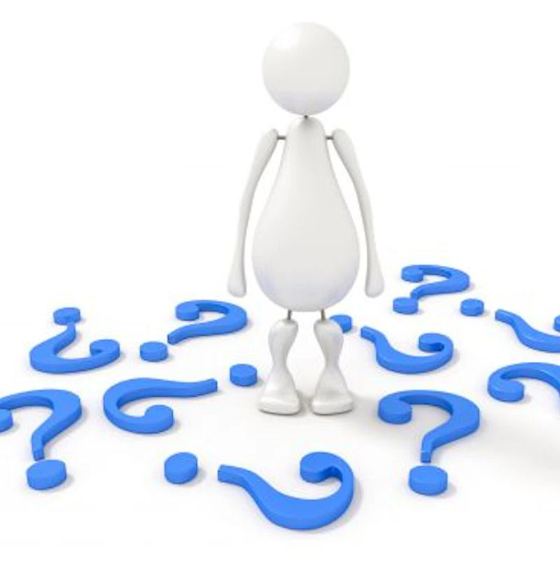 Staudeneibisch Fujin Akata 204 40-60cm - Hibiscus Moscheutos 3 Staudeneibisch Fujin Akata 204 40-60cm - Hibiscus Moscheutos